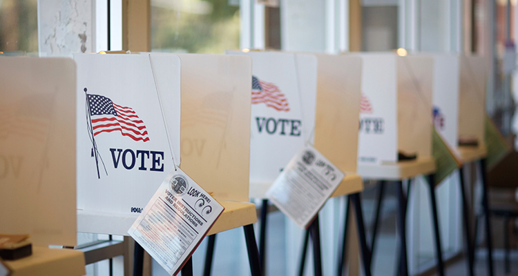 Elections Administrator