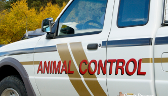 Animal Control