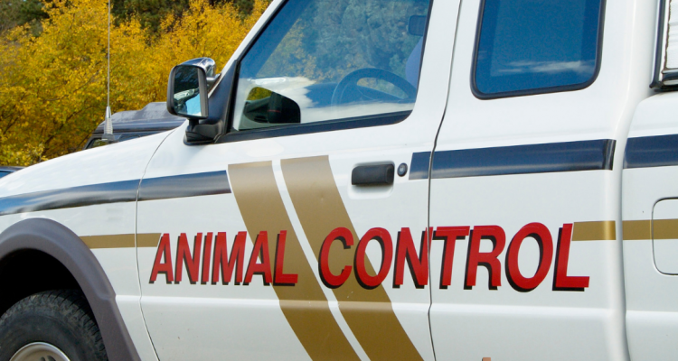 Animal Control